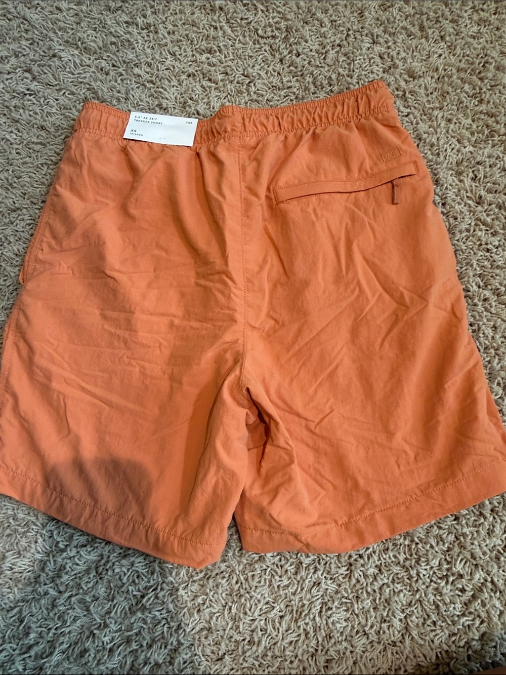New with Tags American Eagle Trekker Shorts